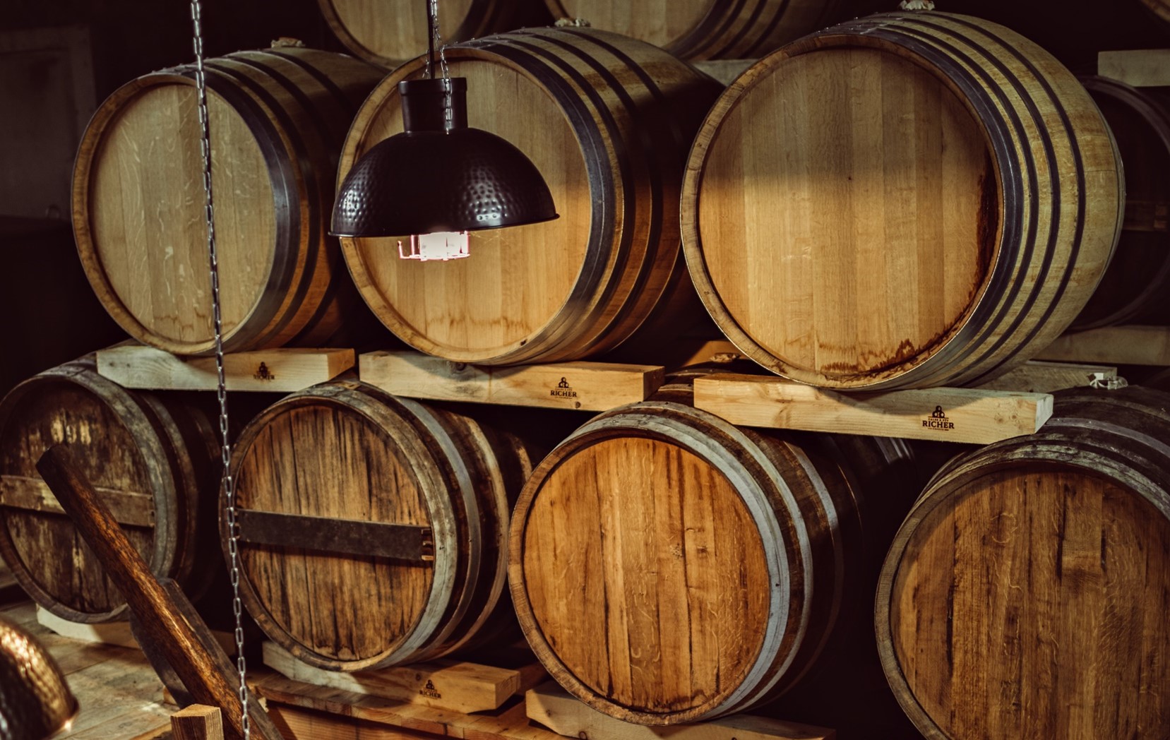 Image for Voyer – Domaine de Bibardies